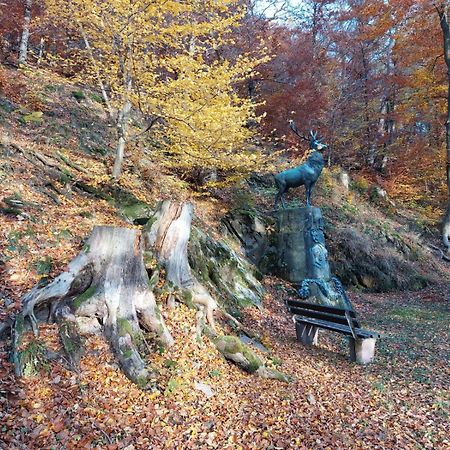 Haus Anastasia Stolberg  Bagian luar foto