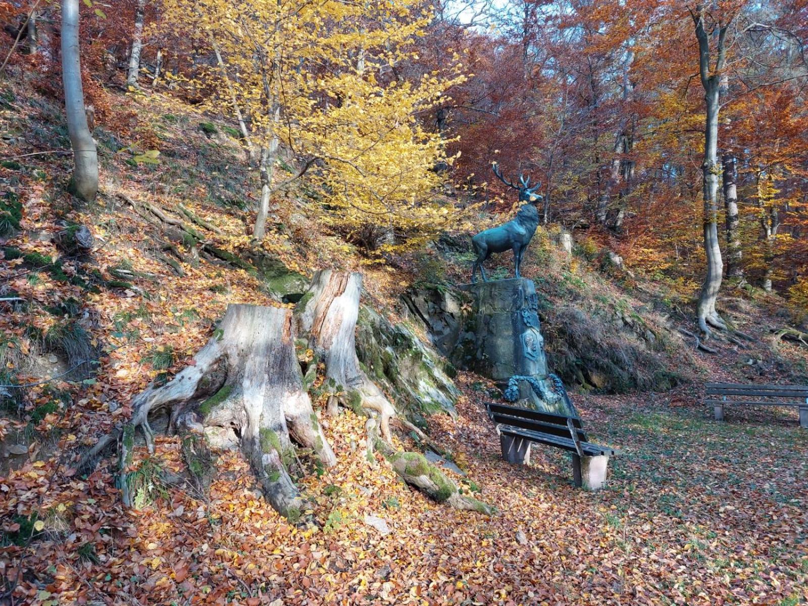 Haus Anastasia Stolberg  Bagian luar foto